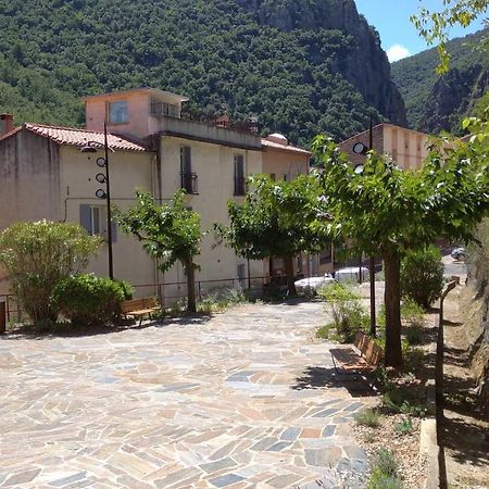 Appartement Pied A Terre à Amélie-les-Bains-Palalda Extérieur photo